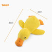 Small duck