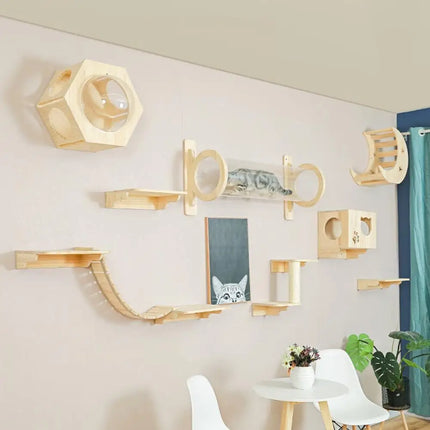 Wall Mounted Climbing Shelves With Ropes