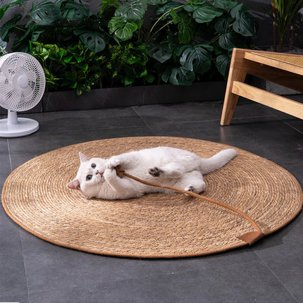 Scratching Board For Cats