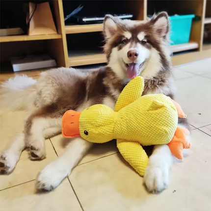 Sleeping Toy For Dogs