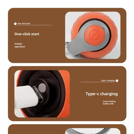 Electronic Interactive Cat Toy