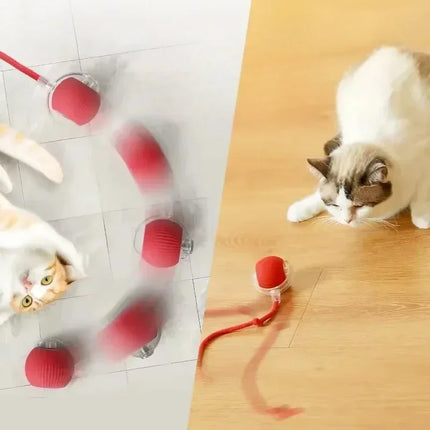 Cat Interactive Ball
