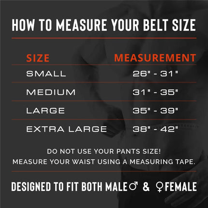 Weight Lifting Belt