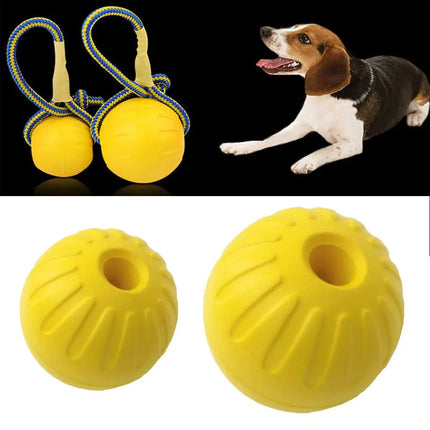 Swimming Toy For Pets