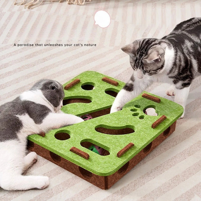 Interactive Scratching Toy With Ball