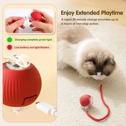 Cat Interactive Ball