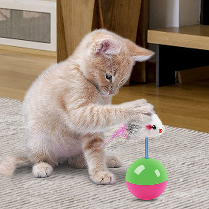 Teasing Cat Toy