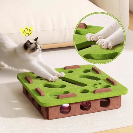 Interactive Scratching Toy With Ball