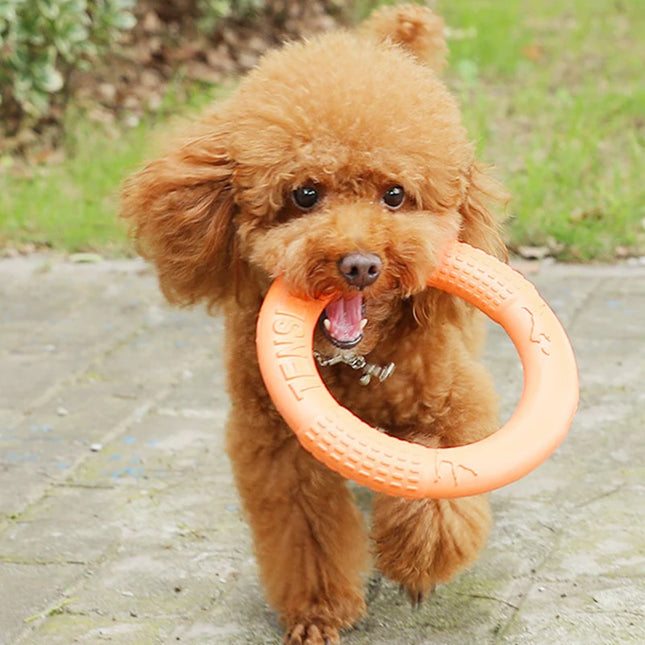 Circle Frisbee For Pets