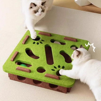 Interactive Scratching Toy With Ball