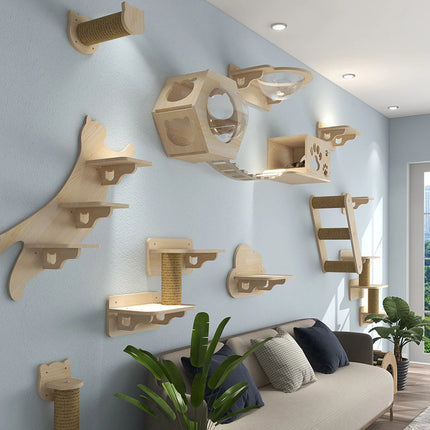 Wall Mounted Climbing Shelves With Ropes