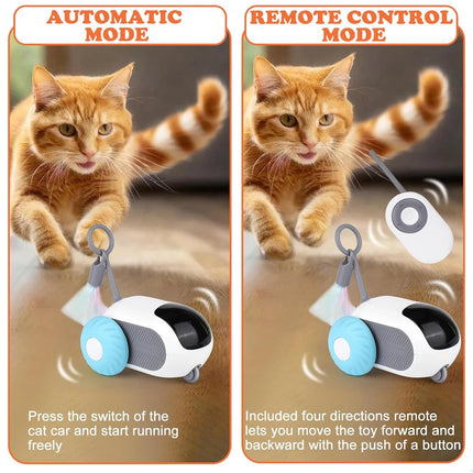 Remote Controlled Toy For Cats