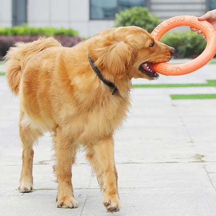 Circle Frisbee For Pets
