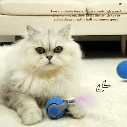 Electronic Interactive Cat Toy