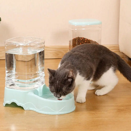 Pet Water Fountain And Food Dispenser