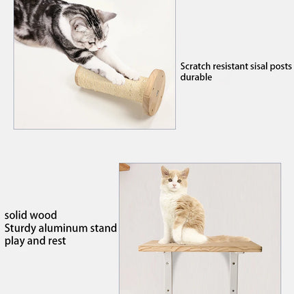 Wall Mounted Climbing Shelves With Ropes