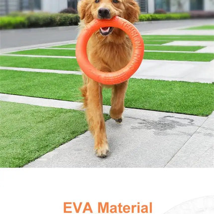 Circle Frisbee For Pets