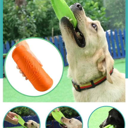 Frisbee For Pets