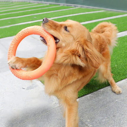 Circle Frisbee For Pets