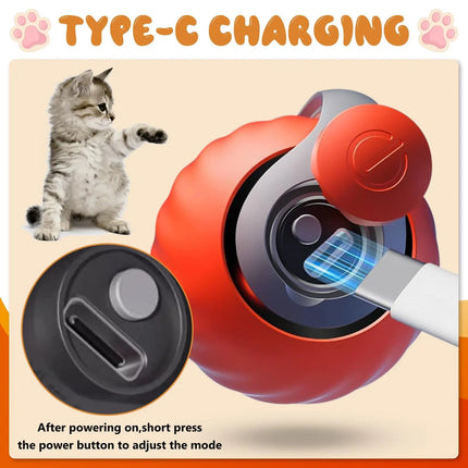 Electronic Interactive Cat Toy