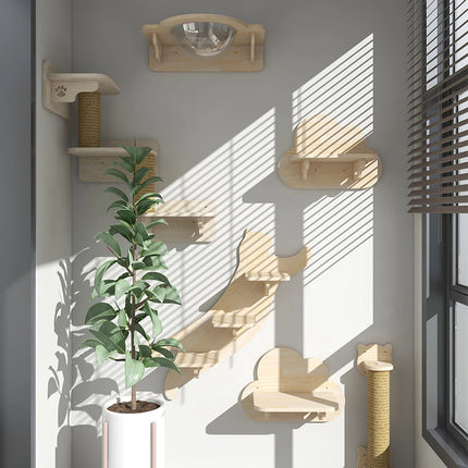 Wall Mounted Climbing Shelves With Ropes