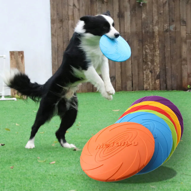 Frisbee For Pets