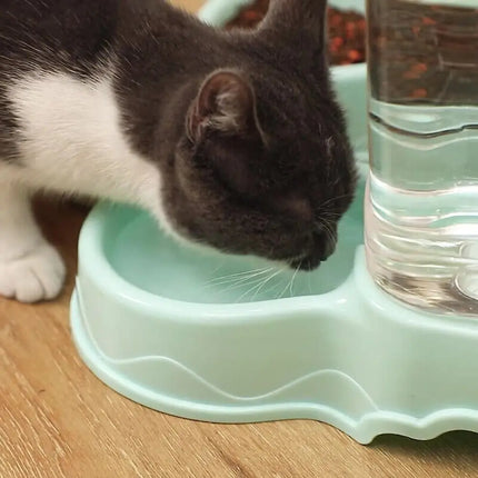Pet Water Fountain And Food Dispenser