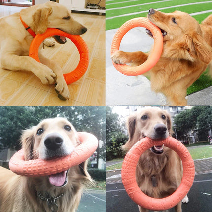 Circle Frisbee For Pets