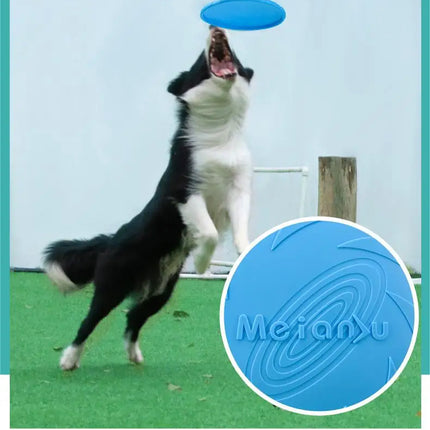 Frisbee For Pets